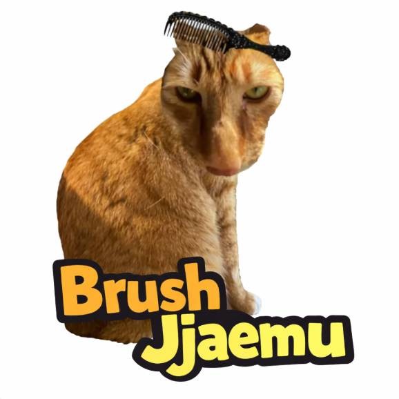 Brush Jjaemu Logo