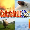 Crazy Cattle 3D