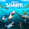 Crazy Shark