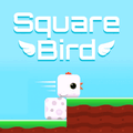 Square Bird